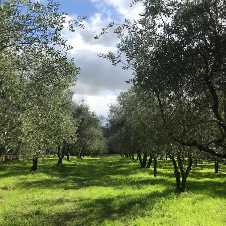 Agriturismo Podere I' Caldino Troghi Eksteriør billede