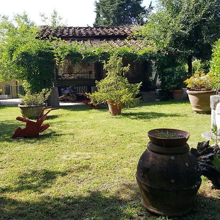 Agriturismo Podere I' Caldino Troghi Eksteriør billede